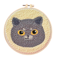 👀 Tête chat grise