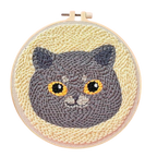 👀 Tête chat grise
