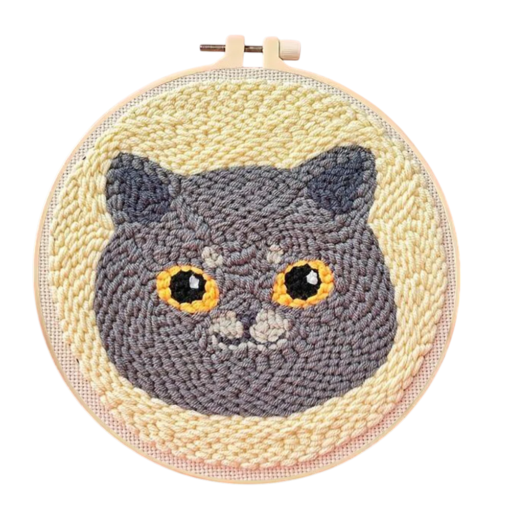 👀 Tête chat grise