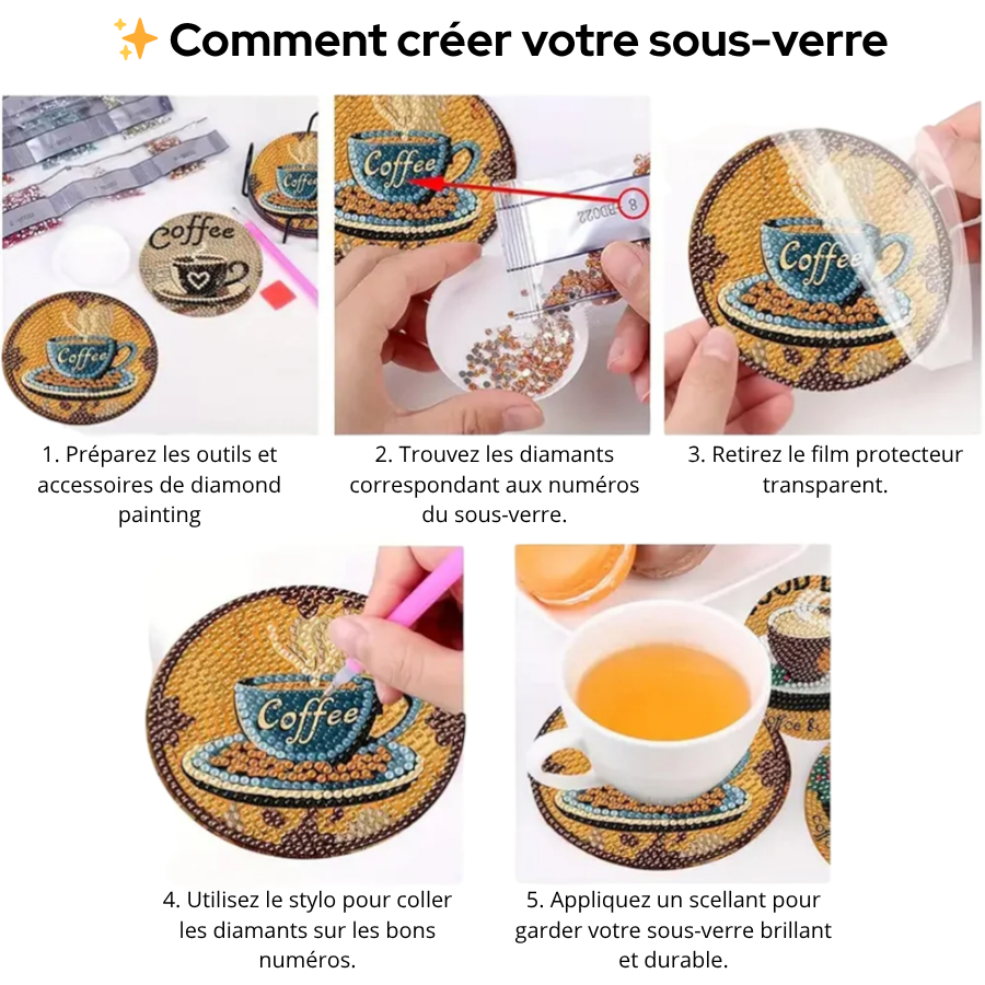 ✨ Chat contemplant les étoiles