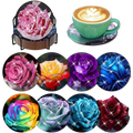🌹 Roses éclatantes